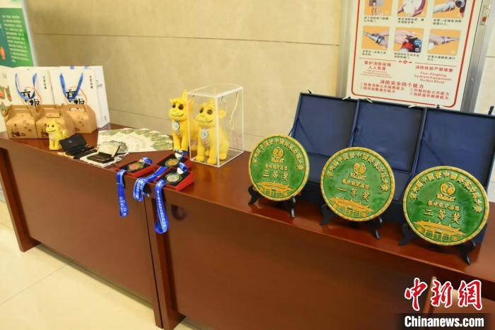 第六届晋中国际柔力球大赛将于9月8日启幕 115支